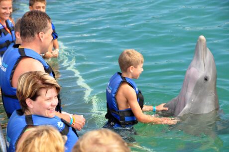 Dolphin Intermedio - PUNTA CANA - Tour / Excursiones - Stay Happy RD -- 1