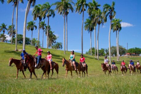 Safari Tour Rancho Cacao & Café - PUNTA CANA - Tour / Excursiones - Stay Happy RD -- 1